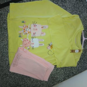 Bright green Bunny Rabit Embroided longsleeve set